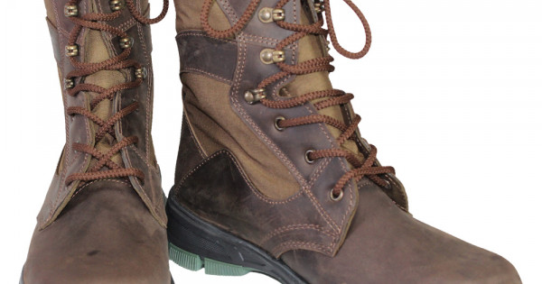 02092020-2boot-600x315w.jpg