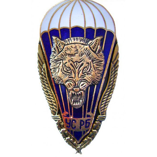 Military special badge with wolf