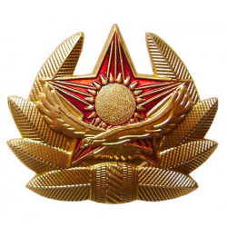 Soviet airborne troops military hat badge Soviet airborne troops military hat badge