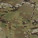 Multicam
