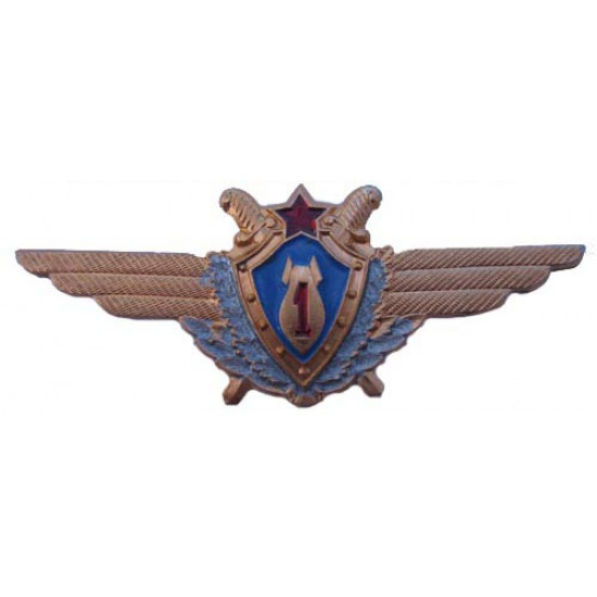 Badge d`aviation soviétique i-st pilote de classe navigateur l`urss