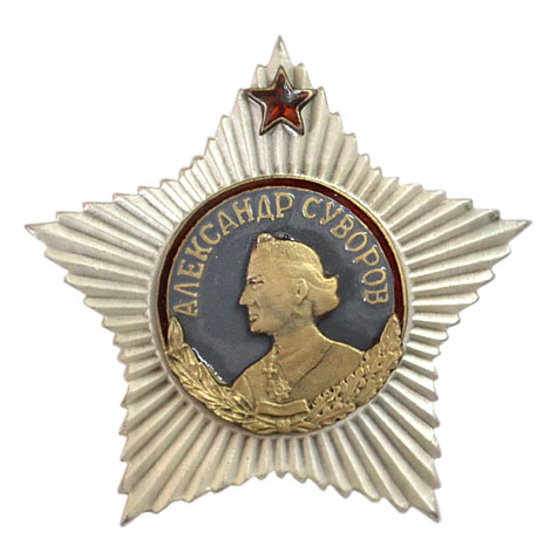 Высшая награда полководца 6 букв