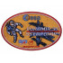   Cosmos Programme Sew-on Patch Soyuz TM-22 #2