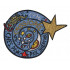 Soyuz TM-24 Space Program Cassiopeia   Cosmos Embroidered patch