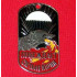   military paratrooper metal tag "the strongest wins"