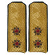 Parade shoulder boards of soviet navy admiral