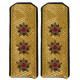 Parade shoulder boards of soviet navy admiral