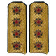 Parade shoulder boards of soviet navy admiral